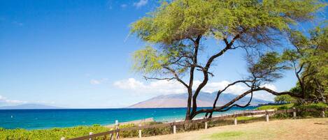Kamaole Beach Park III - Kamaole Beach Park III