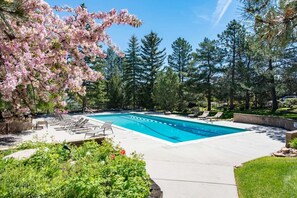 Une piscine avec des chaises longues et un espace jardin agrémenté d’arbres et d’arbustes.