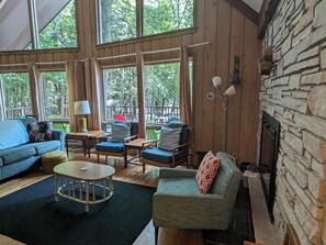 TV, DVD player, books, video library