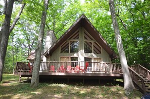 Exterior - Classic "up north" Big Glen cottage nestled by trees. Dog friendly. (Glen Arbor)