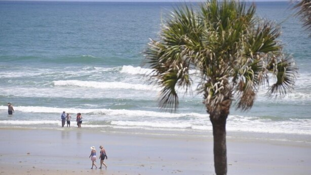 A beach with palm trees and people walking along the shore. - Surfs up in this Cute 2bed/2ba condo! Ocean view! No drive Beach in NSB (New Smyrna Beach)