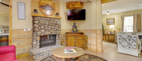 TV, fireplace, books, video library