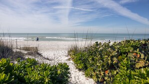A sandy beach with sparse vegetation and a clear sky.