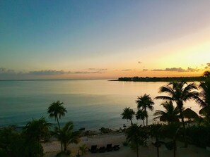 A beach with palm trees and a view of the sea.