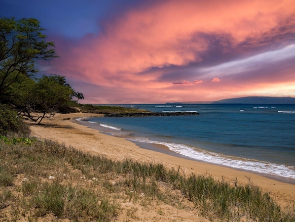 A beach with a rocky outcrop, a palm tree, and a clear view of the ocean.