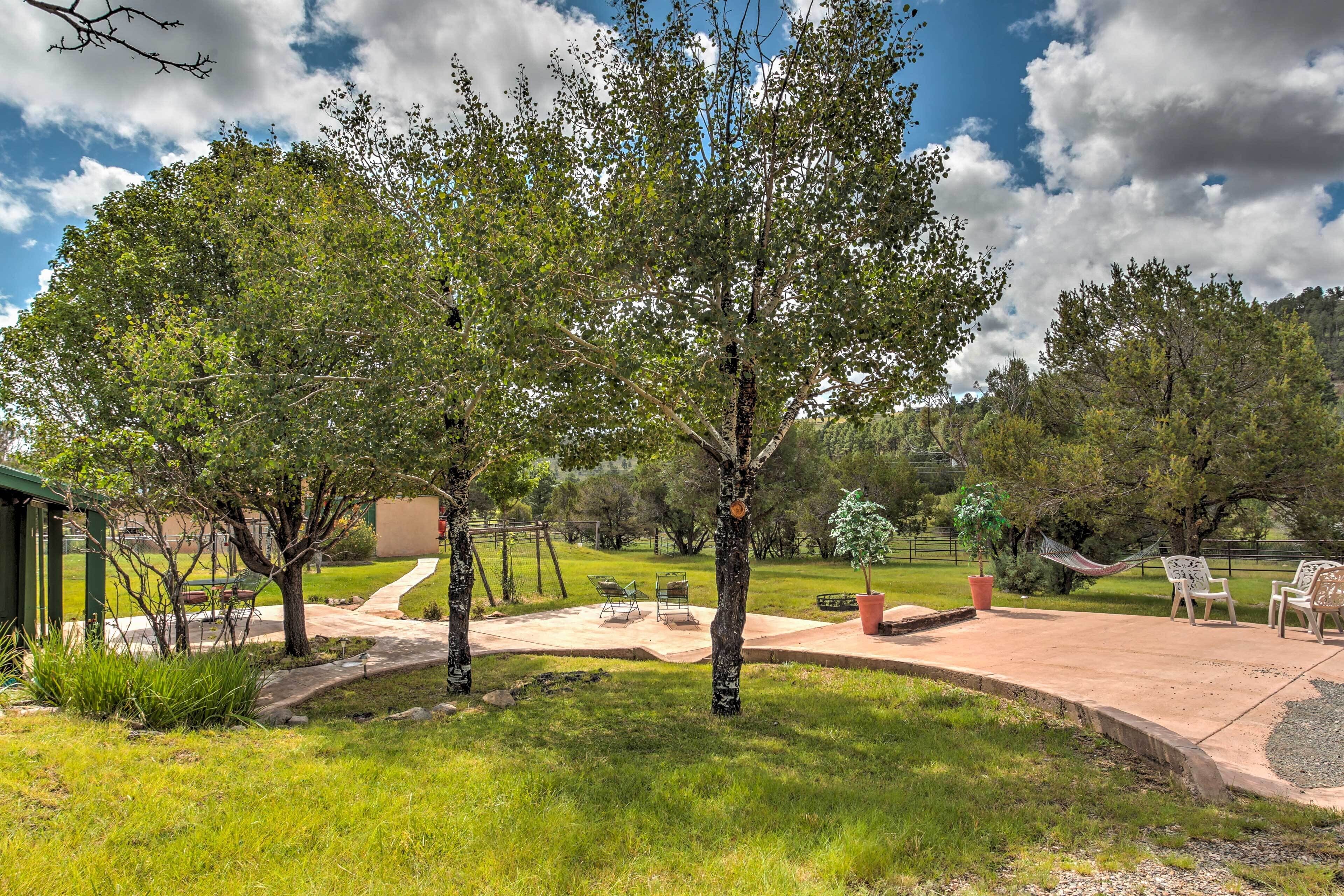 Spacious Alto House on 8 Private Acres w/ Hot Tub!