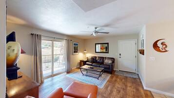 TV, fireplace, DVD player