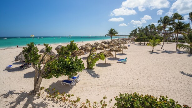 A beach with thatched umbrellas, palm trees, and sun loungers. - Beach Residency B2_200Mbps_Pool_Walk2Beach! (Bavaro-Punta Cana)