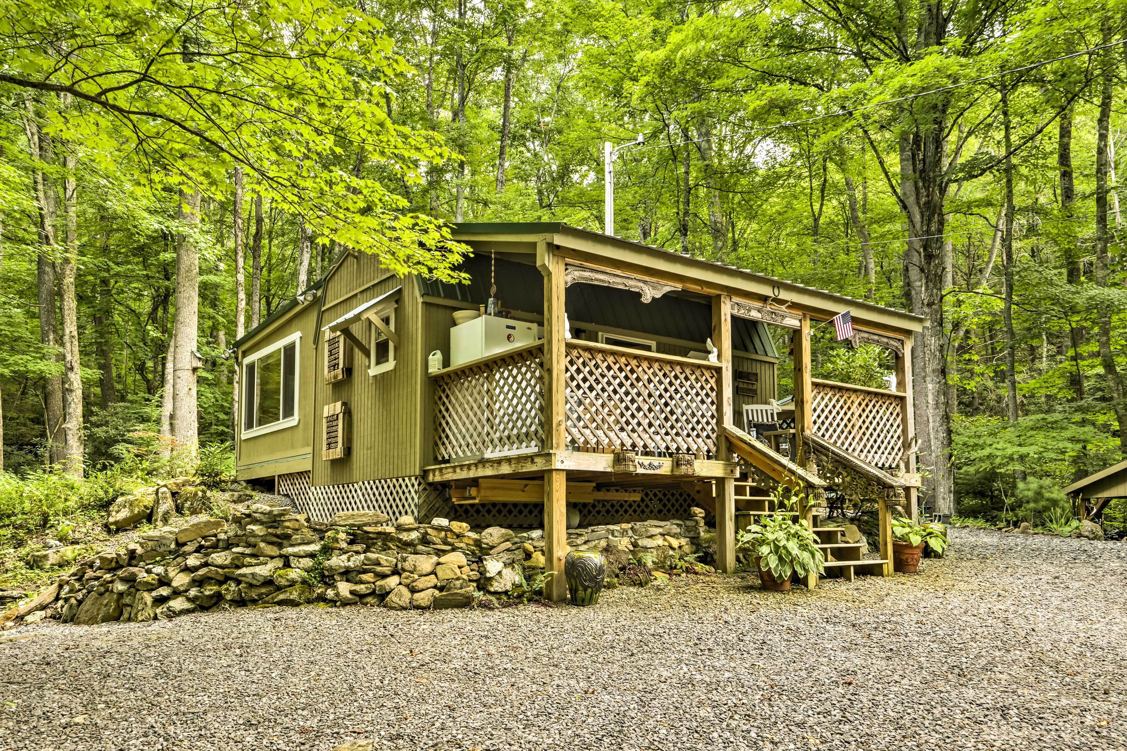 'Lotsa Moose Lodge' Pisgah Forest Waterfall Cabin!