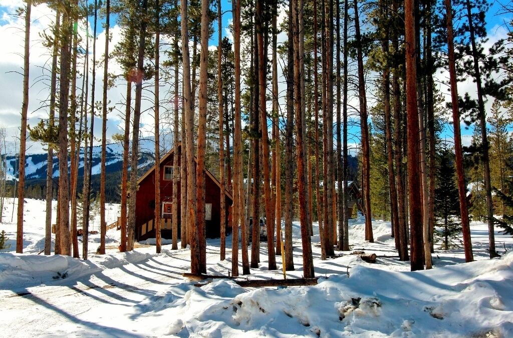 Eine Holzhütte, umgeben von hohen Kiefern, in einer verschneiten Winterlandschaft mit Bergen im Hintergrund.