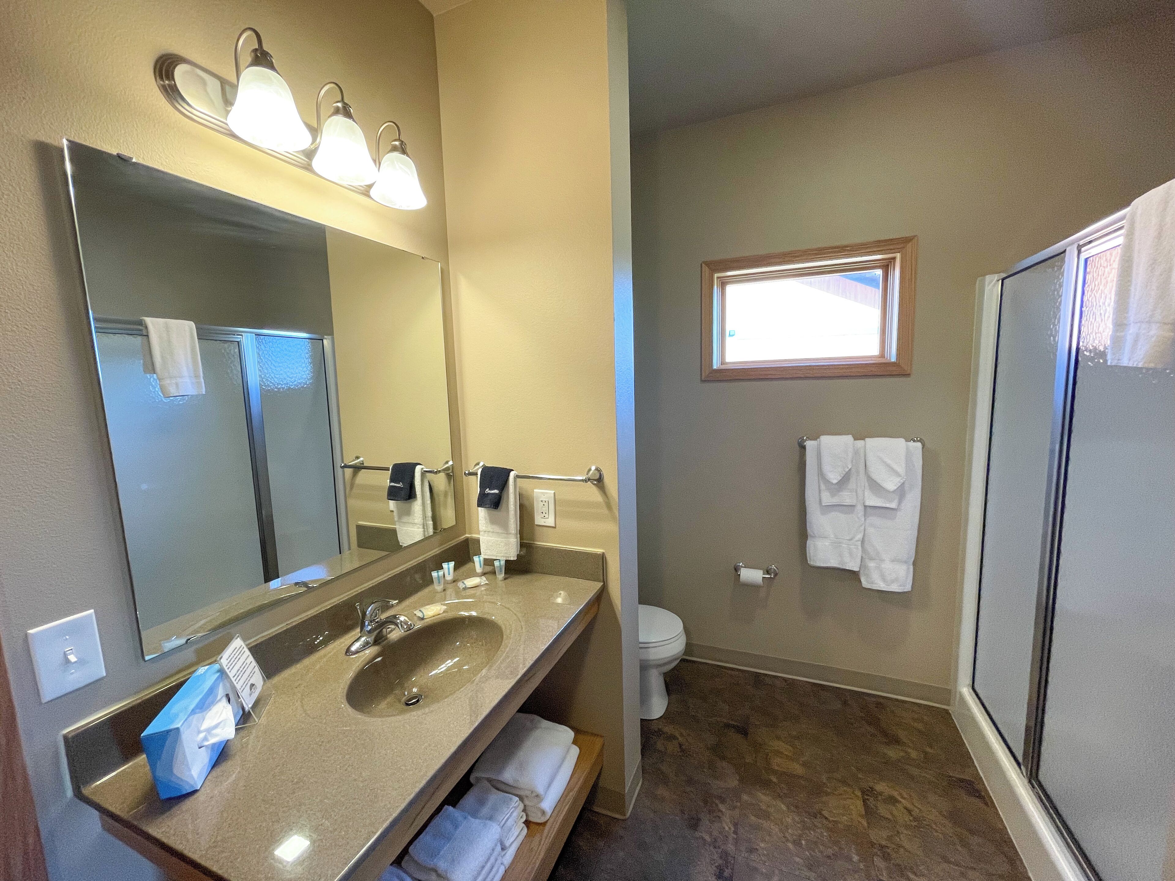 A bathroom with a large mirror, a sink, a toilet, and a shower.