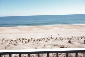 On the beach