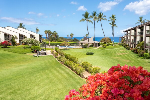 Property grounds - Hale Kamaole 222 Second floor condo, easy access to best beach on Maui! (Kihei)