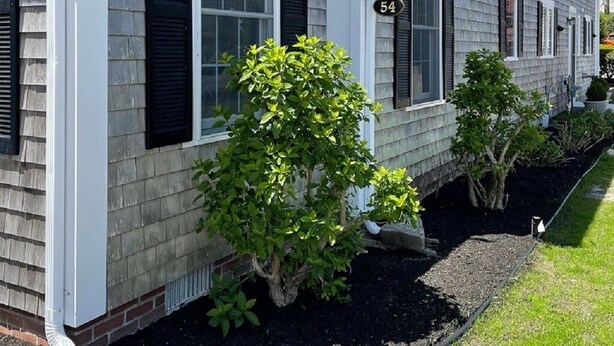 A two-story house with a grey siding exterior, black shutters, and a number '54' sign. - Charming house located in the heart of downtown Chatham! (Chatham)