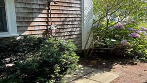 A house with a wooden exterior, a small garden with a bush and hydrangea flowers, and a ladder leaning against the wall. - Charming house located in the heart of downtown Chatham! (Chatham)