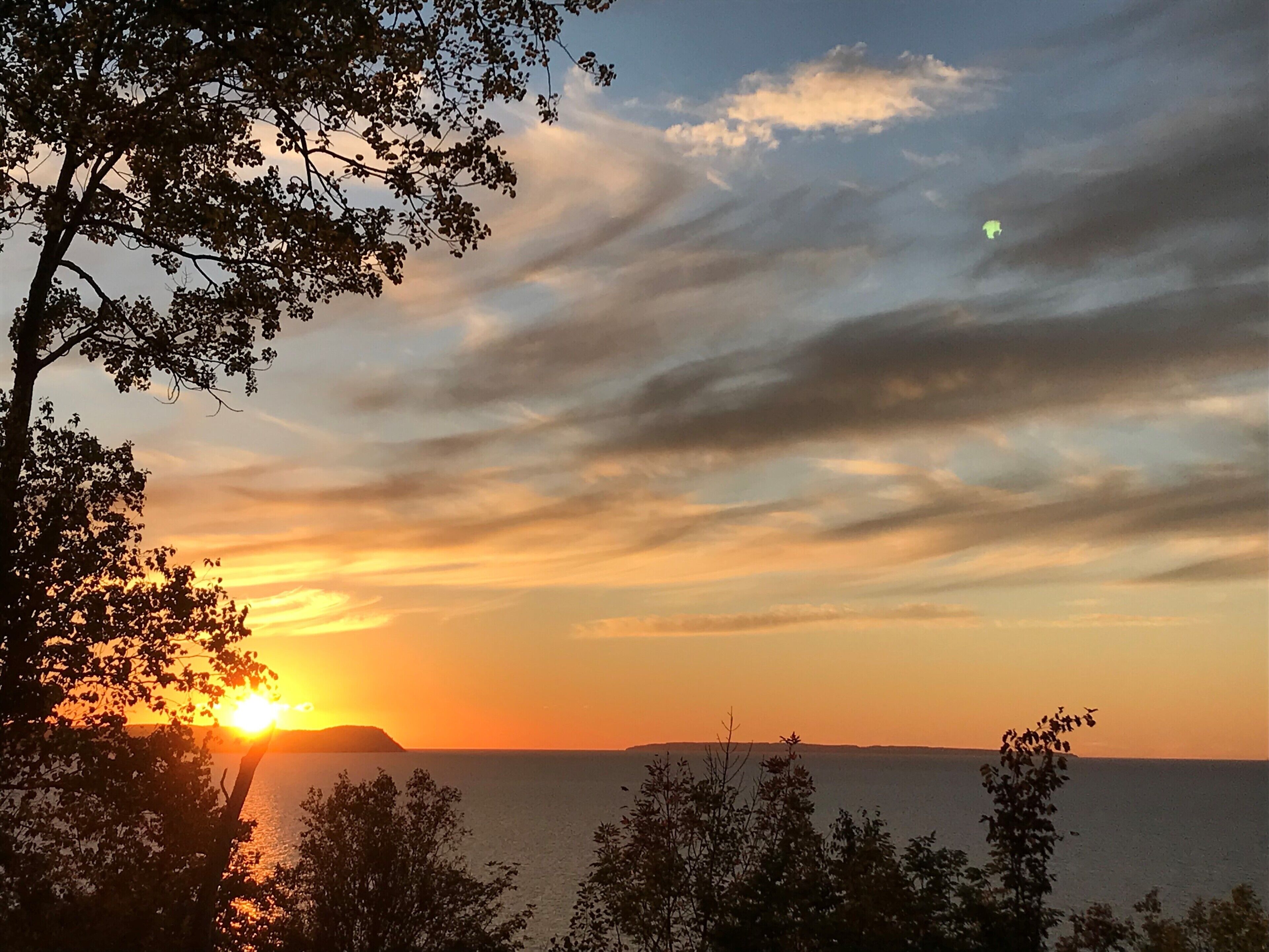 A sunset over a body of water with silhouettes of trees in the foreground.