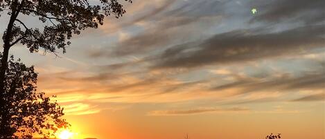 A sunset over a body of water with silhouettes of trees in the foreground.
