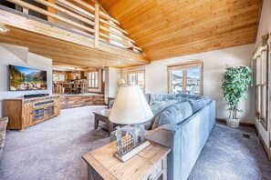 Télévision, cheminée, lecteur de DVD, chaîne hi-fi