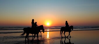 Sweet Southern Pearl: Contemporary PierView Oceanfront Condo with Stunning Views