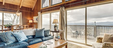 Télévision, cheminée, lecteur de DVD, livres