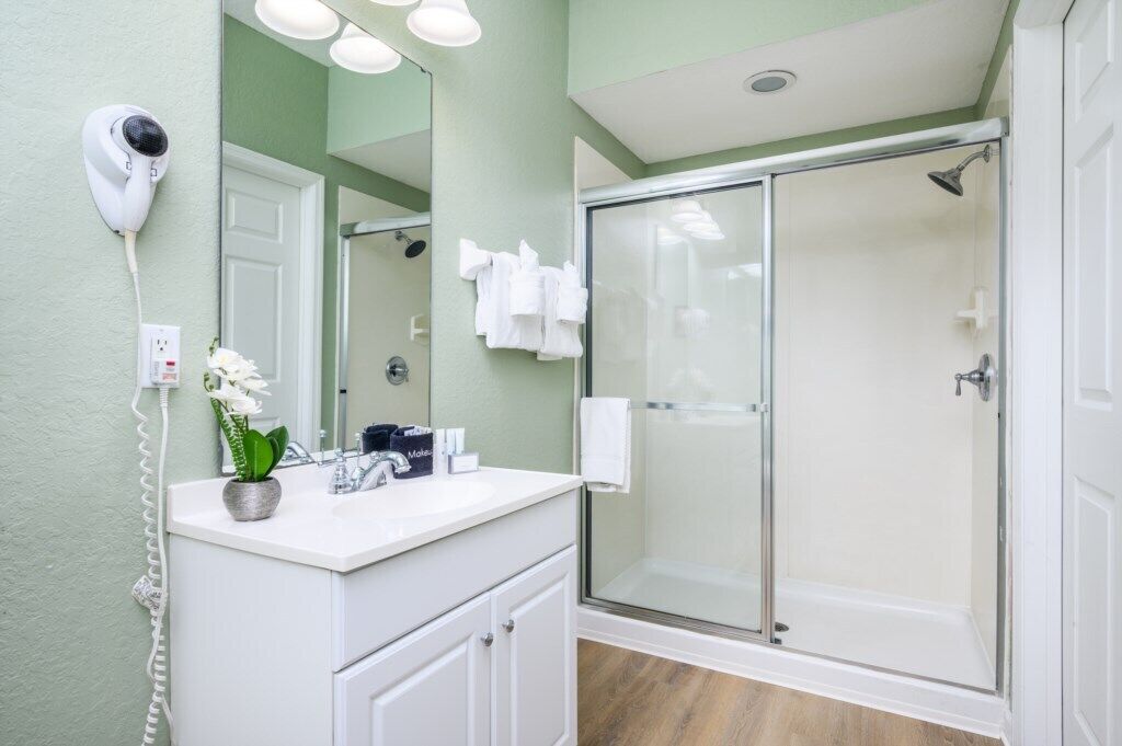 A bathroom with a white vanity, a hairdryer mounted on the wall, a glass shower enclosure, and a potted orchid on the counter.