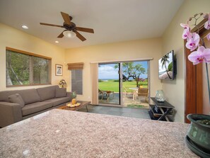 TV, DVD player, offices