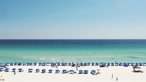Una playa con numerosas sombrillas azules y gente disfrutando del agua.