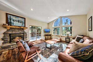 Televisión, chimenea, reproductor de DVD y libros 