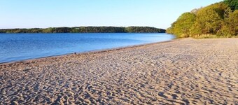 Whip-o-Will Woods: Dog-Friendly Cape Cottage