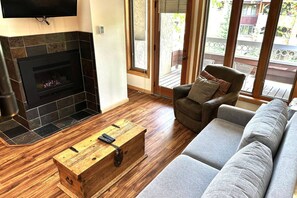 Smart TV, fireplace, DVD player, books