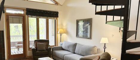 Smart TV, fireplace, DVD player, books