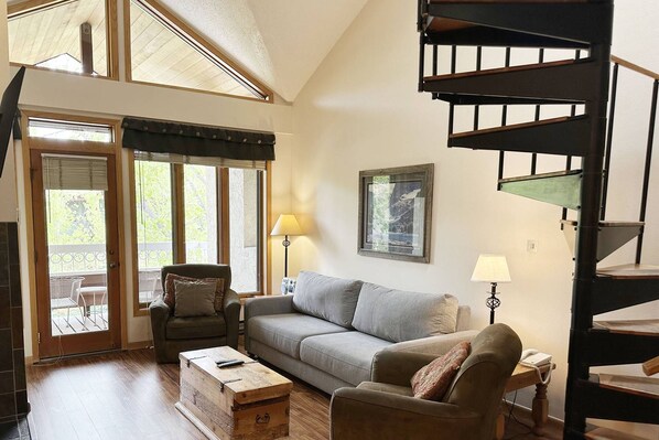 TV connectée, cheminée, lecteur de DVD, livres