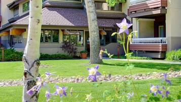 Terrein van de accommodatie