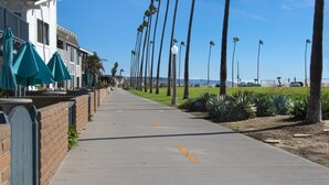 Eine Küstenstraße gesäumt von Palmen und Strandhäusern.