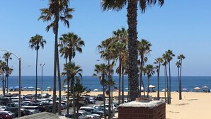 Ein Strand mit Palmen, einem Parkplatz und freiem Blick auf das Meer.