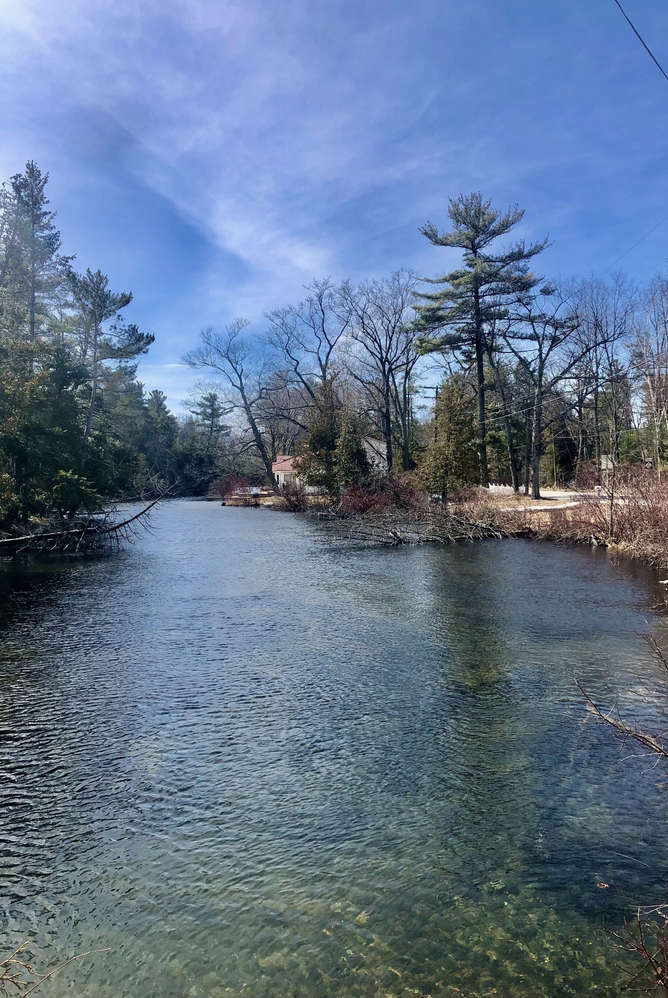 A river with clear water, surrounded by trees and a house in the background.