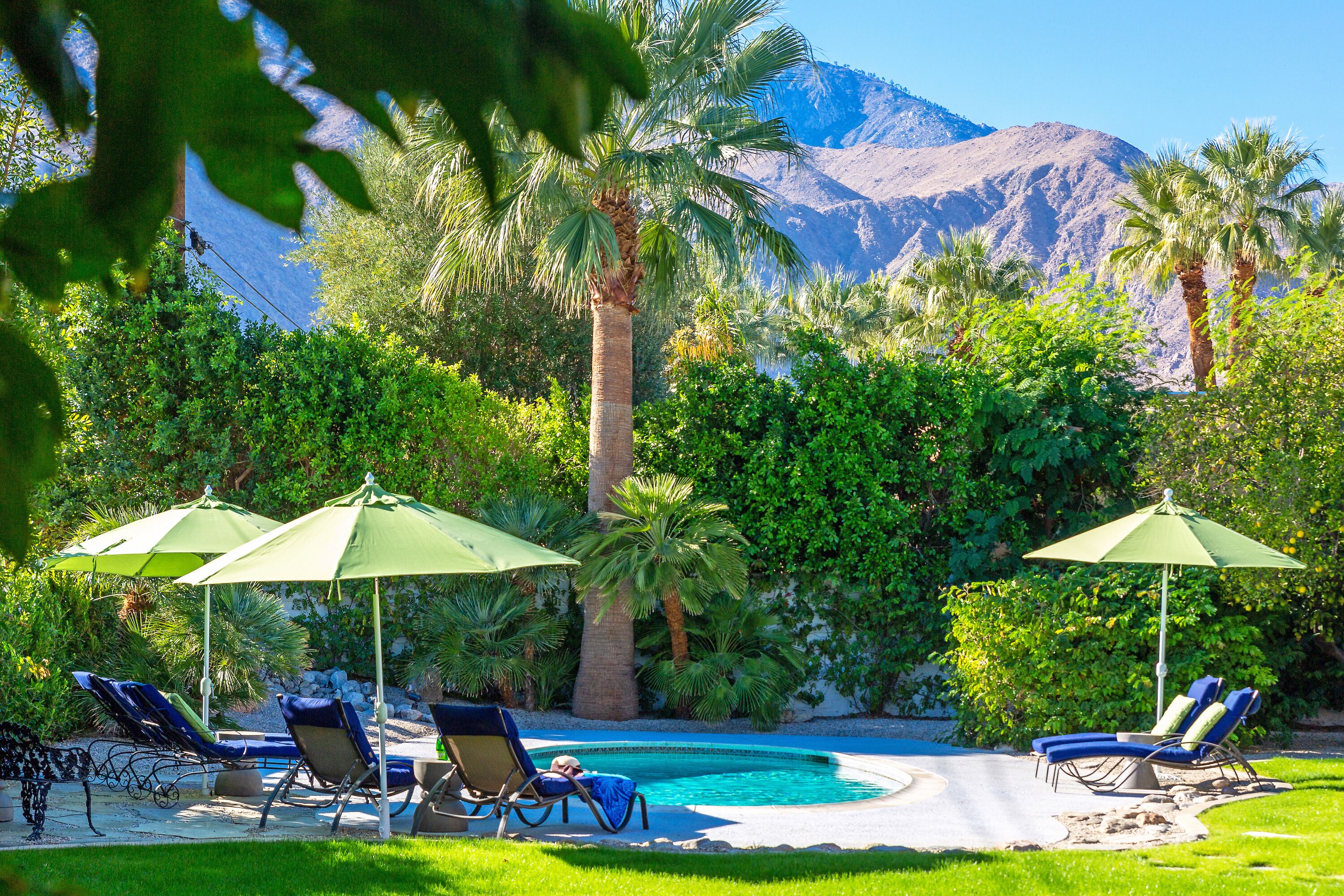 A heated pool, pool loungers
