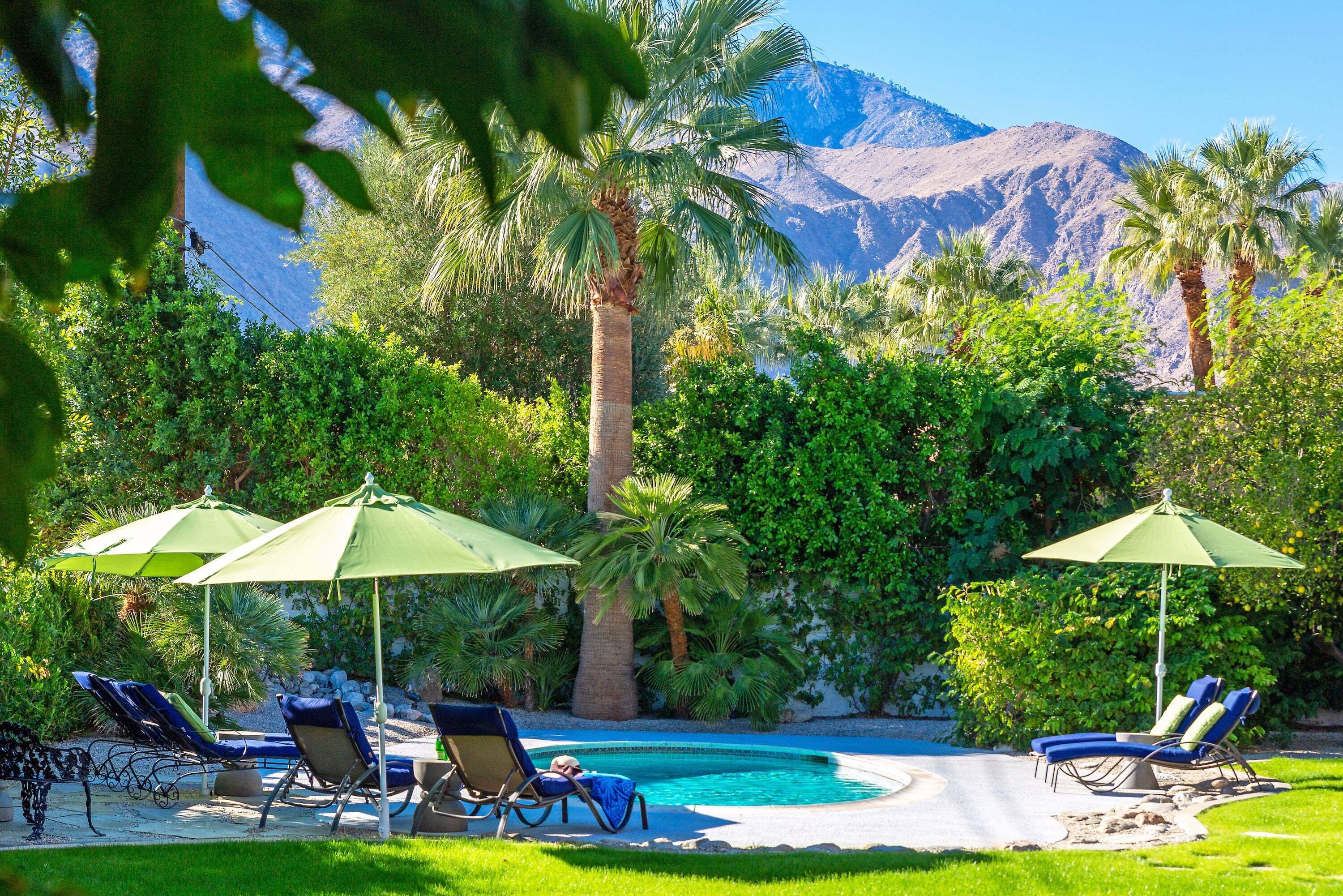 A heated pool, sun loungers