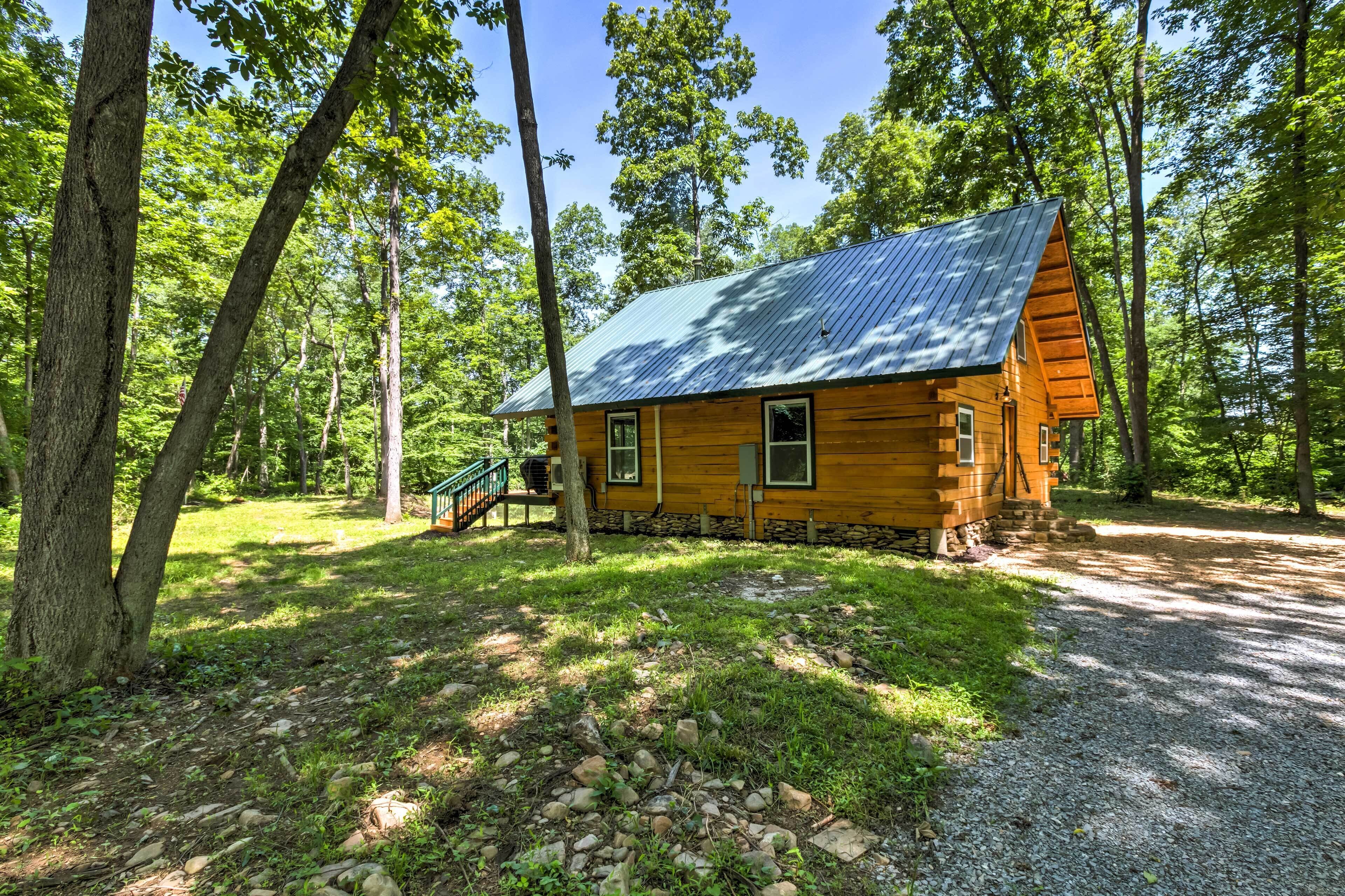 A rustic cabin with a metal roof, surrounded by trees and a gravel path.