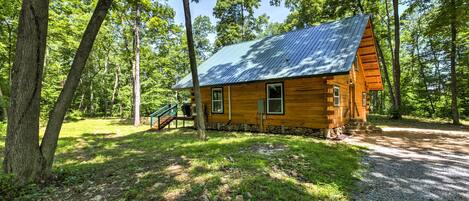 A rustic cabin with a metal roof, surrounded by trees and a gravel path.