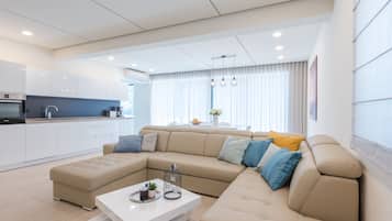 TV connectée, cheminée, lecteur de DVD