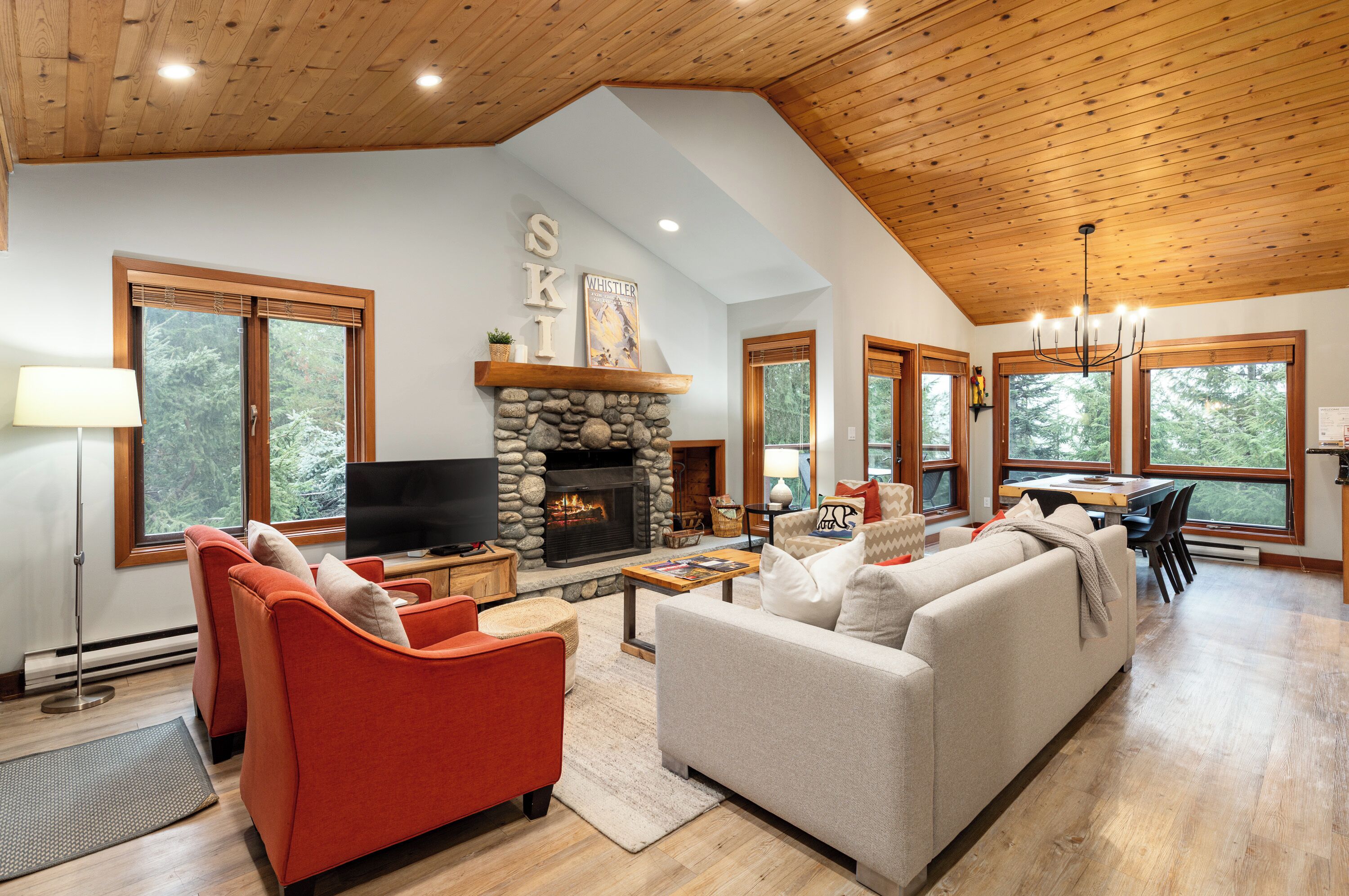 テレビ、暖炉、DVD プレーヤー