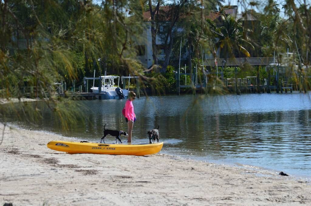 Een strand met een gele kajak en twee honden erop, een persoon in roze, en een boot op de achtergrond.