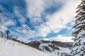 Lumi- ja hiihtourheilulajit