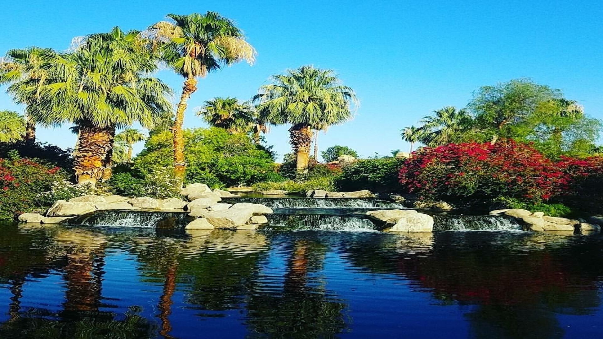 A tranquil garden with a water feature, palm trees, and red flowering bushes.