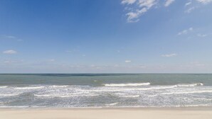 على الشاطئ