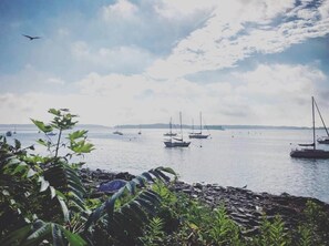 Beach - PORTLAND PENINSULA-SPACIOUS WALKABLE EAST END SPOT (Portland)