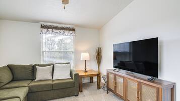 TV, fireplace, books