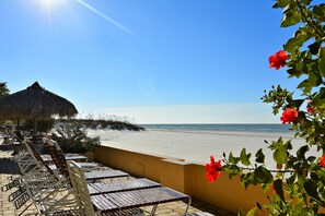 Une terrasse au bord de la plage, dotée de chaises longues, d’un parasol en chaume et offrant une vue sur la plage.