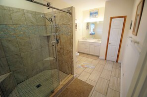 Combined shower/tub, hair dryer